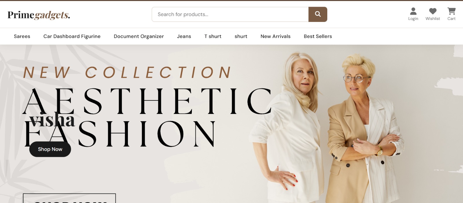 Dynamic website development for home service business in India